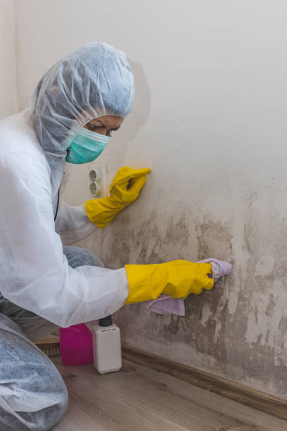 Mold Remediation for Rental Properties in Castroville, TX