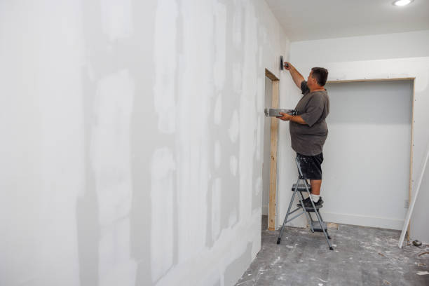 Professional Mold Removal in Castroville, TX