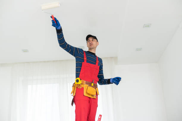 Best Post-Construction Mold Inspection  in Castroville, TX