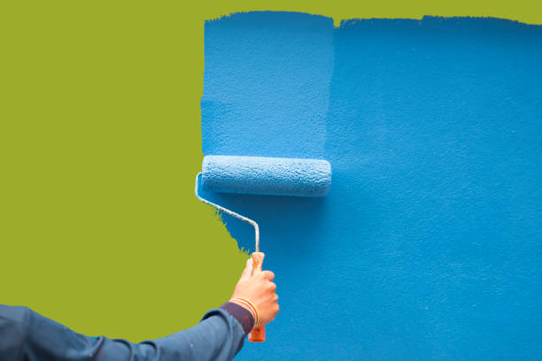 Reliable Castroville, TX Mold Removal Solutions